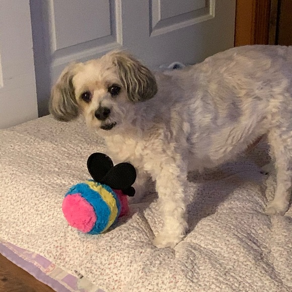 My Best Friend Forever In My Heart 💕 - Picture 9 of 17